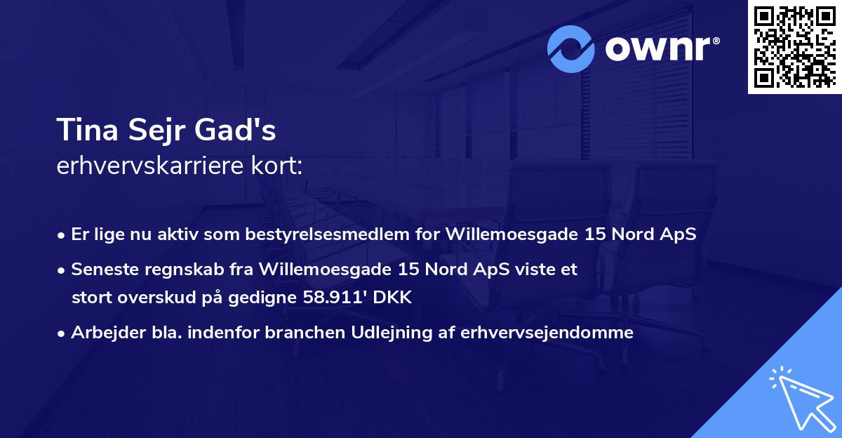 Tina Sejr Gad's erhvervskarriere kort