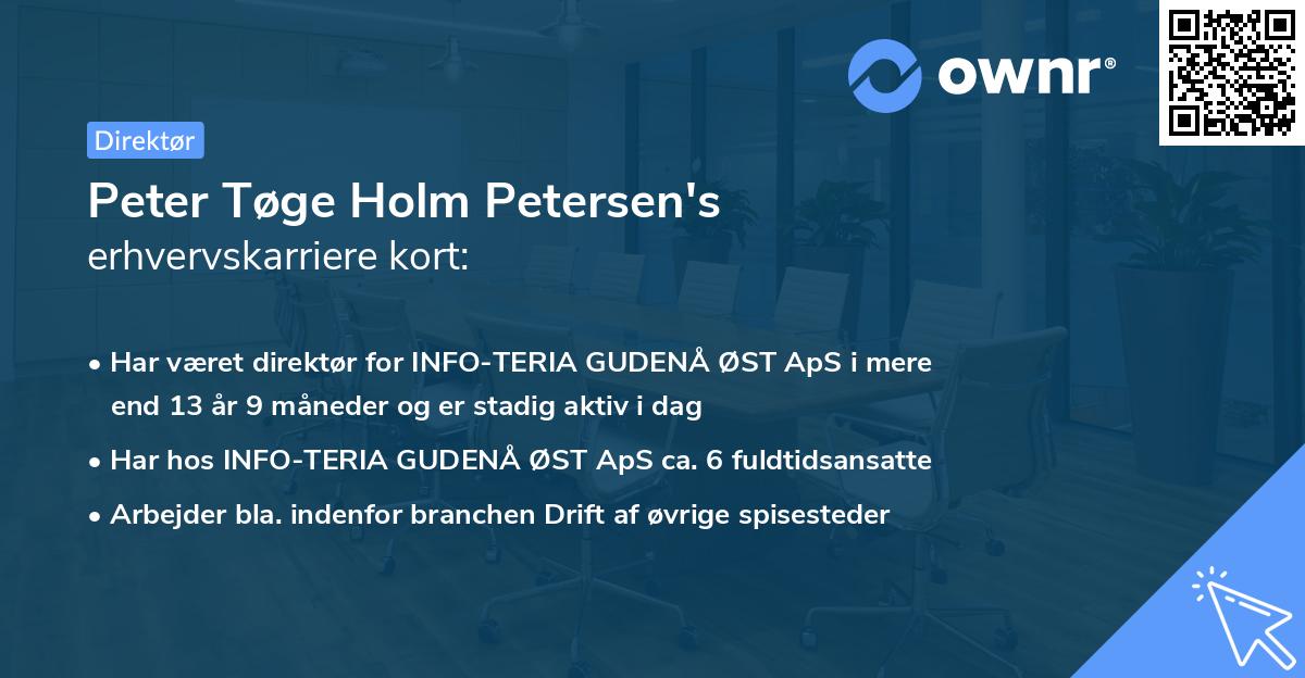 Peter Tøge Holm Petersen's erhvervskarriere kort