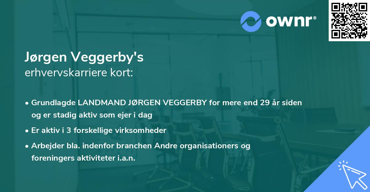 Jørgen Veggerby's erhvervskarriere kort