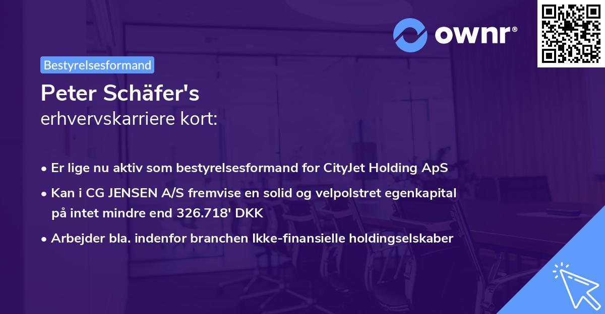Peter Schäfer's erhvervskarriere kort