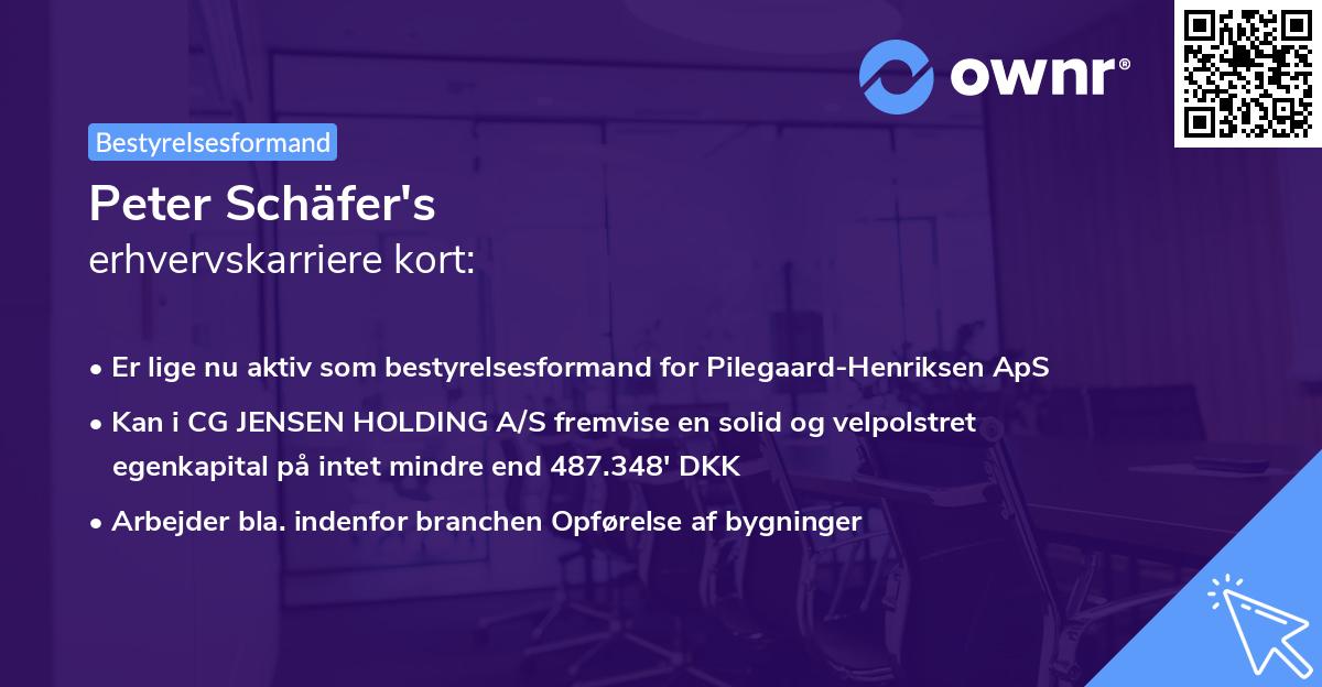 Peter Schäfer's erhvervskarriere kort