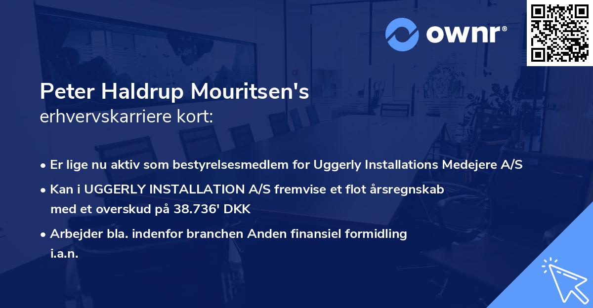 Peter Haldrup Mouritsen's erhvervskarriere kort