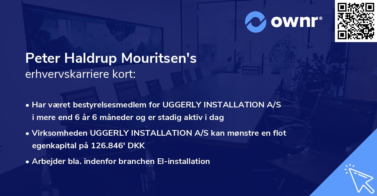 Peter Haldrup Mouritsen's erhvervskarriere kort