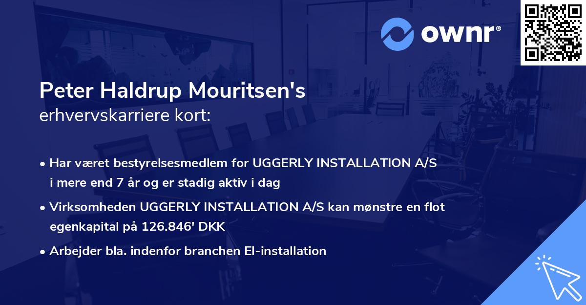 Peter Haldrup Mouritsen's erhvervskarriere kort