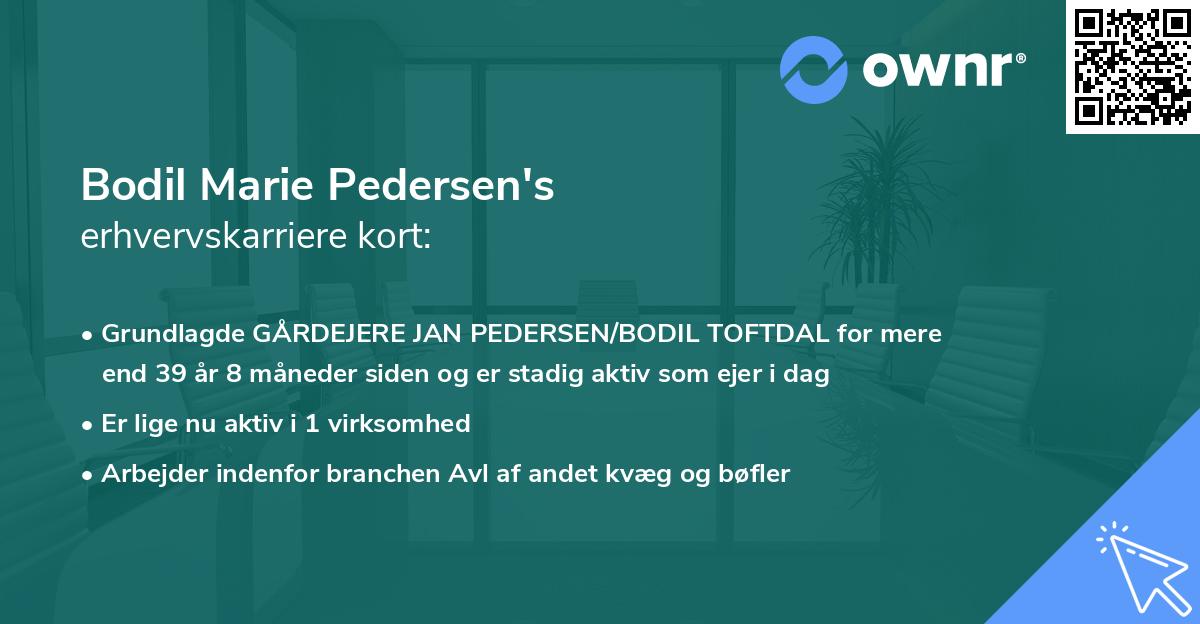 Bodil Marie Pedersen's erhvervskarriere kort