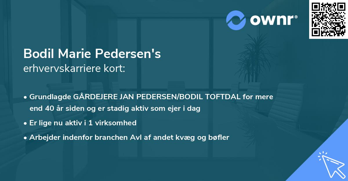 Bodil Marie Pedersen's erhvervskarriere kort