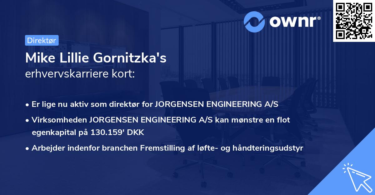 Mike Lillie Gornitzka's erhvervskarriere kort