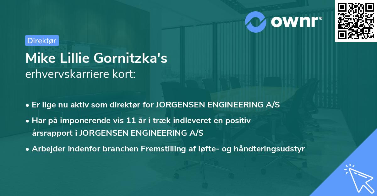 Mike Lillie Gornitzka's erhvervskarriere kort