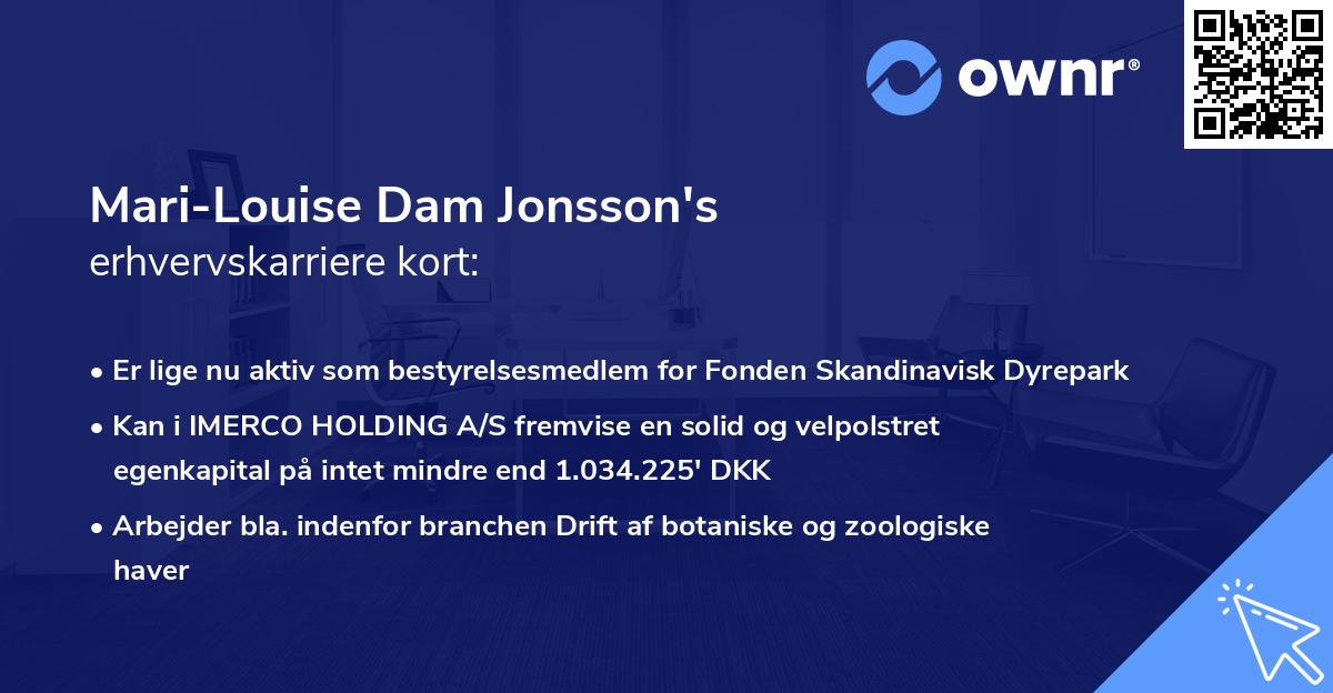 Mari-Louise Dam Jonsson's erhvervskarriere kort