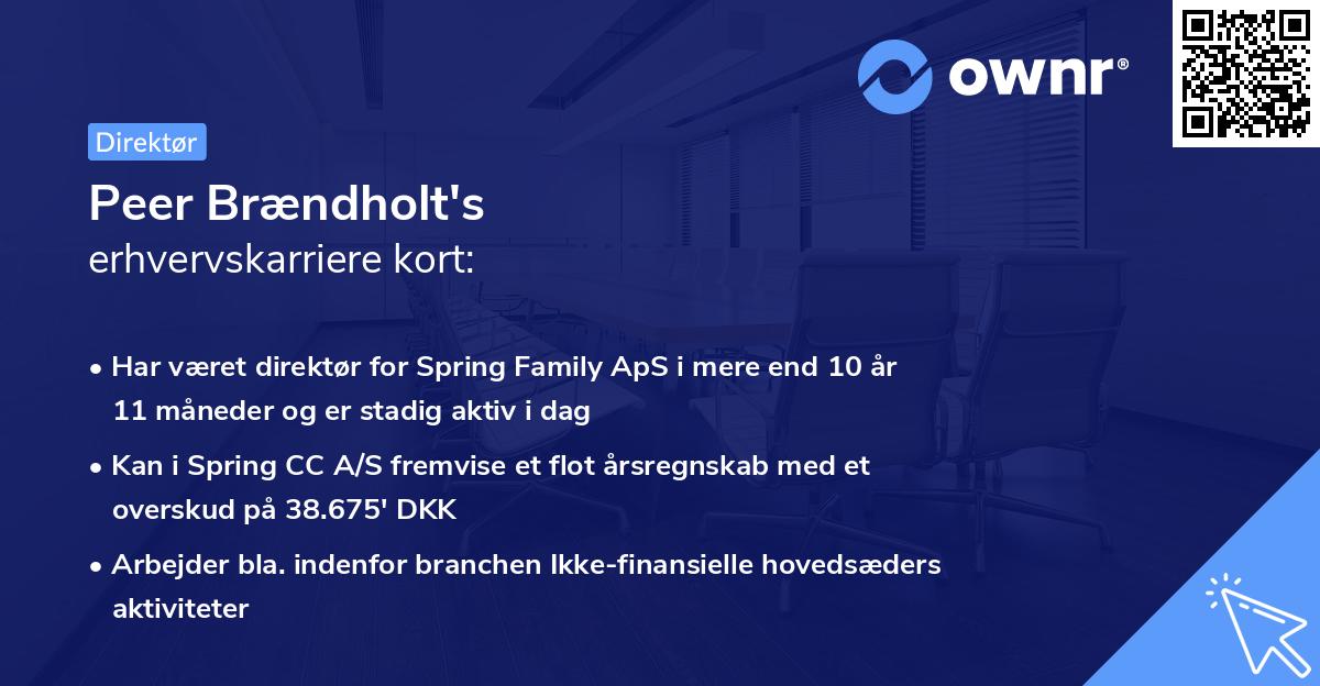 Peer Brændholt's erhvervskarriere kort