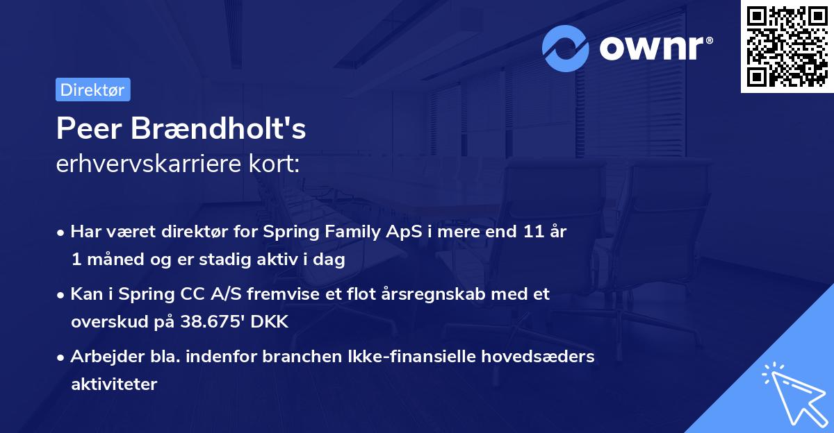 Peer Brændholt's erhvervskarriere kort