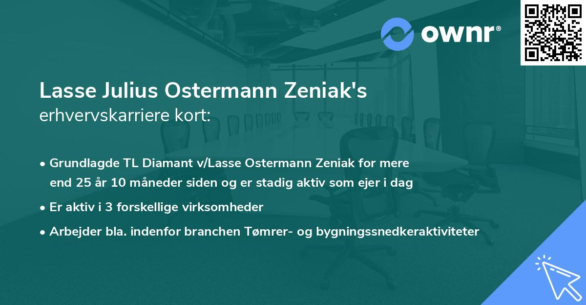 Lasse Julius Ostermann Zeniak's erhvervskarriere kort