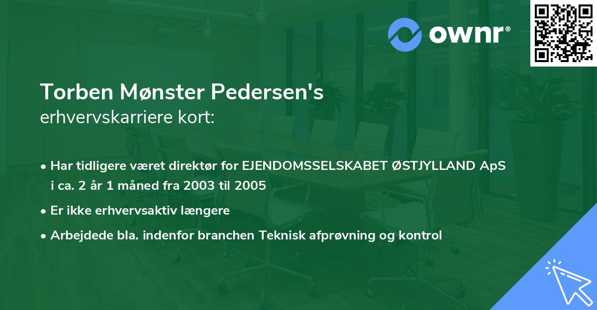 Torben Mønster Pedersen's erhvervskarriere kort