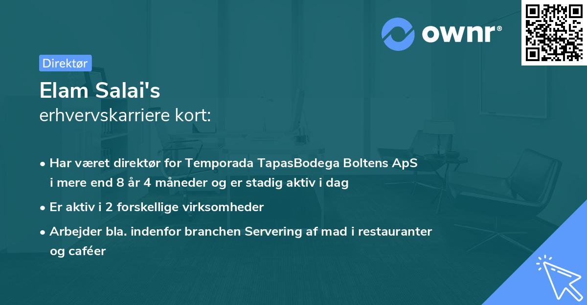 Elam Salai's erhvervskarriere kort