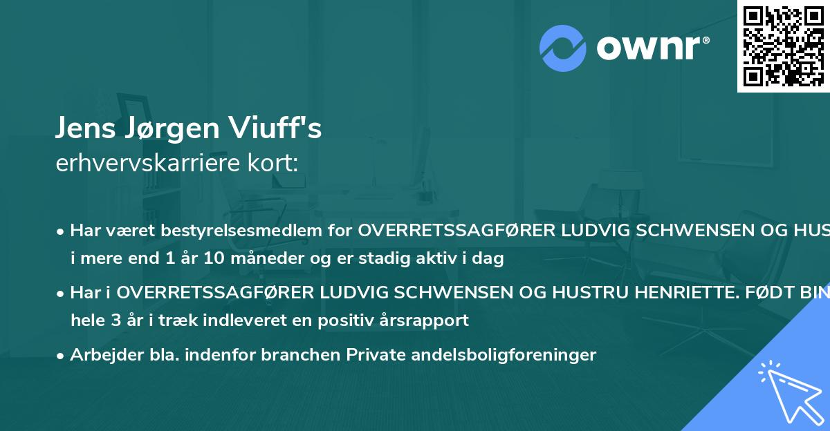 Jens Jørgen Viuff's erhvervskarriere kort