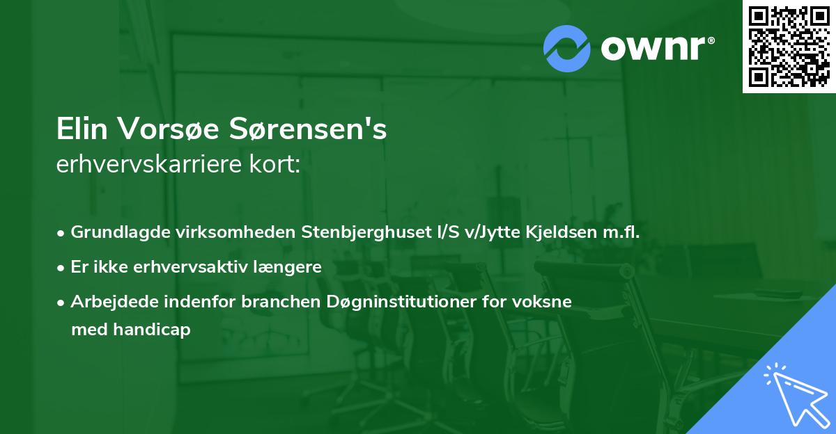 Elin Vorsøe Sørensen's erhvervskarriere kort