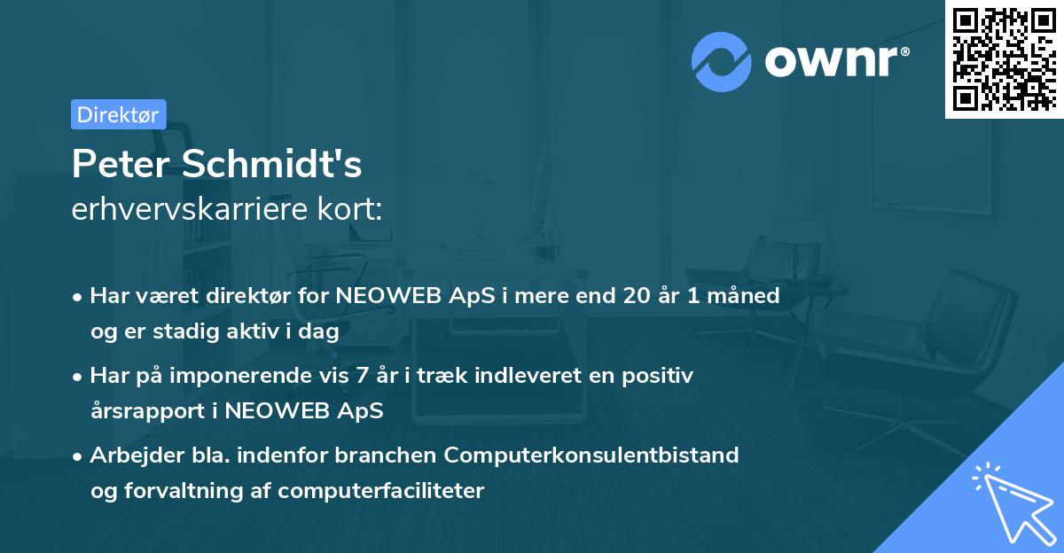 Peter Schmidt's erhvervskarriere kort
