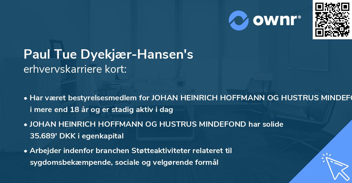 Paul Tue Dyekjær-Hansen's erhvervskarriere kort