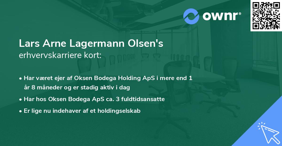 Lars Arne Lagermann Olsen's erhvervskarriere kort