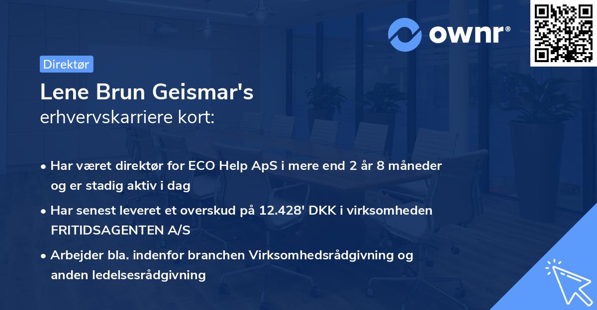 Lene Brun Geismar's erhvervskarriere kort