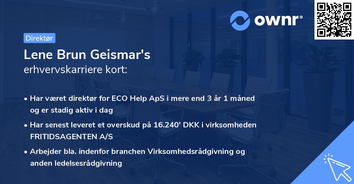 Lene Brun Geismar's erhvervskarriere kort