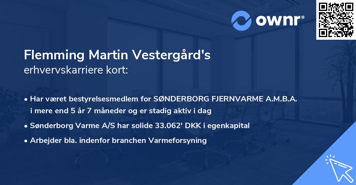Flemming Martin Vestergård's erhvervskarriere kort