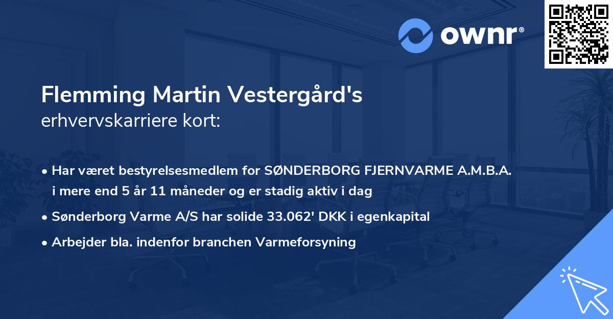 Flemming Martin Vestergård's erhvervskarriere kort