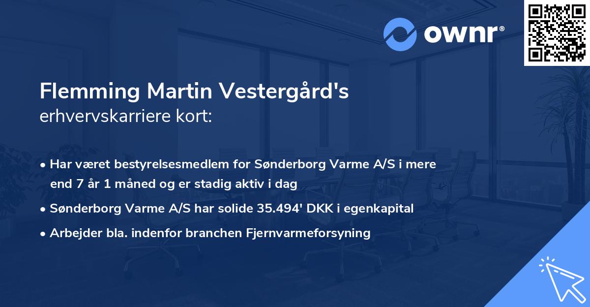 Flemming Martin Vestergård's erhvervskarriere kort