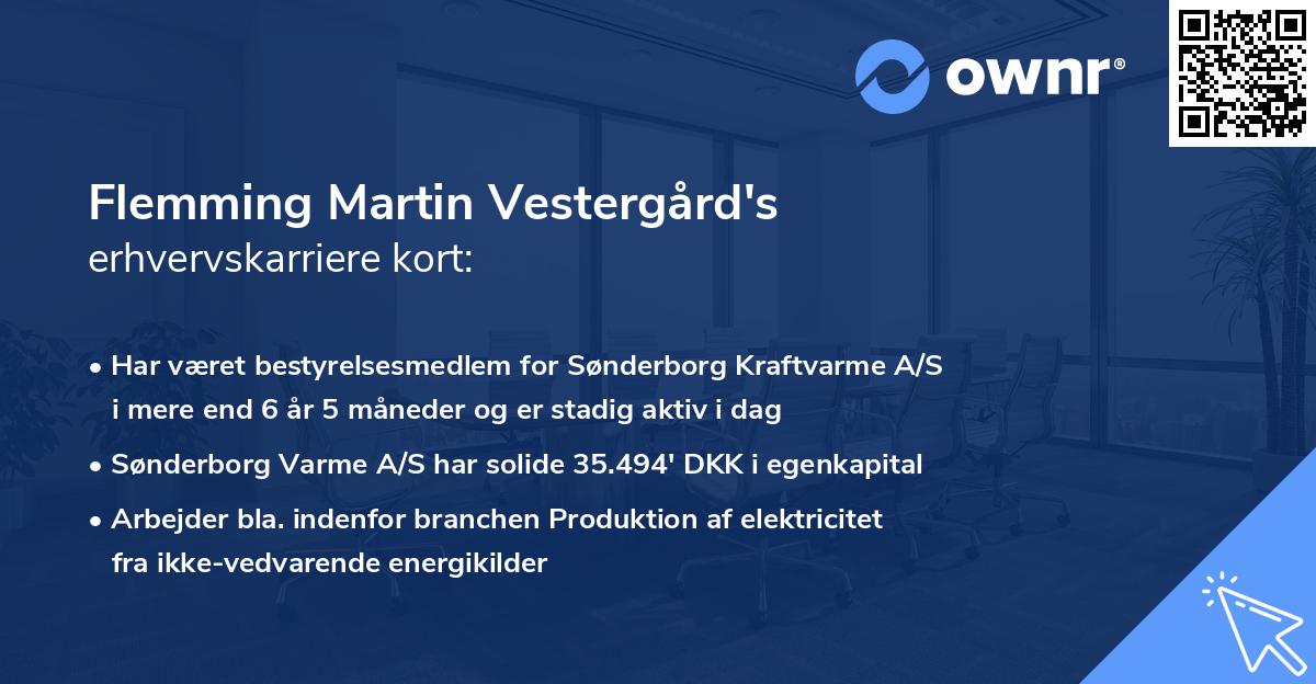 Flemming Martin Vestergård's erhvervskarriere kort