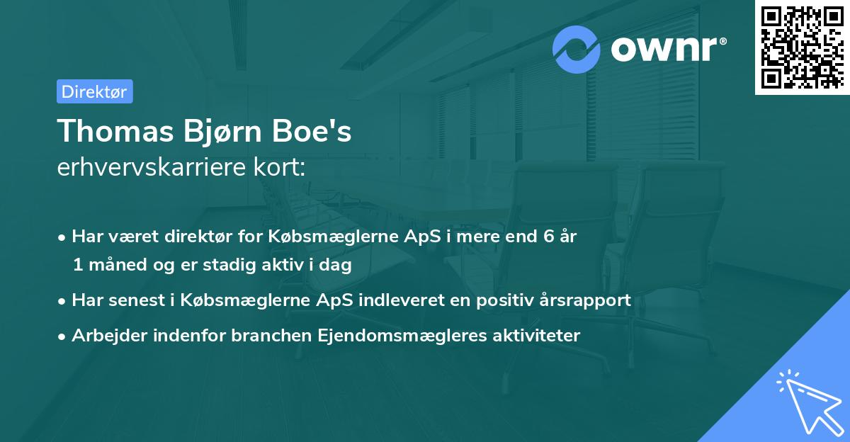 Thomas Bjørn Boe's erhvervskarriere kort