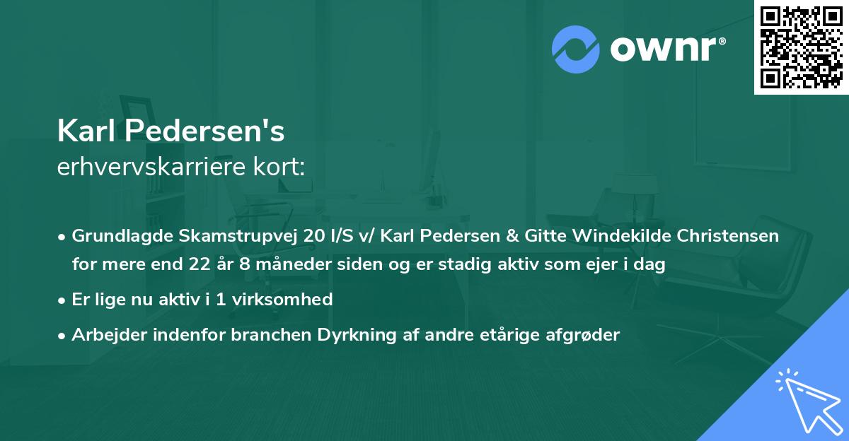 Karl Pedersen's erhvervskarriere kort