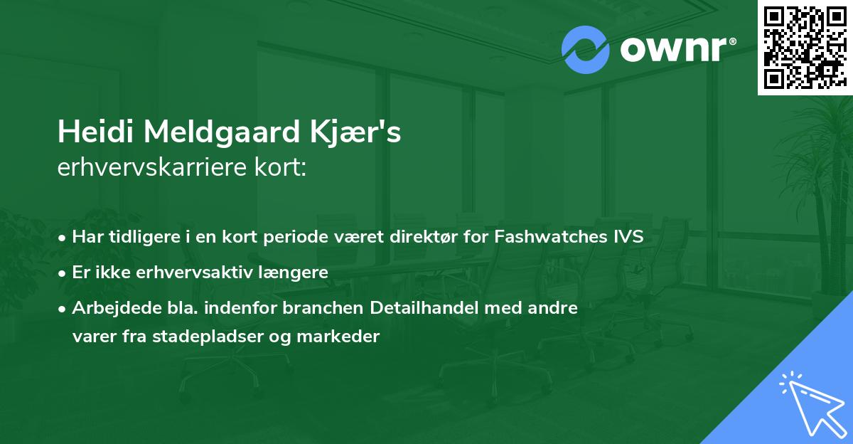 Heidi Meldgaard Kjær's erhvervskarriere kort