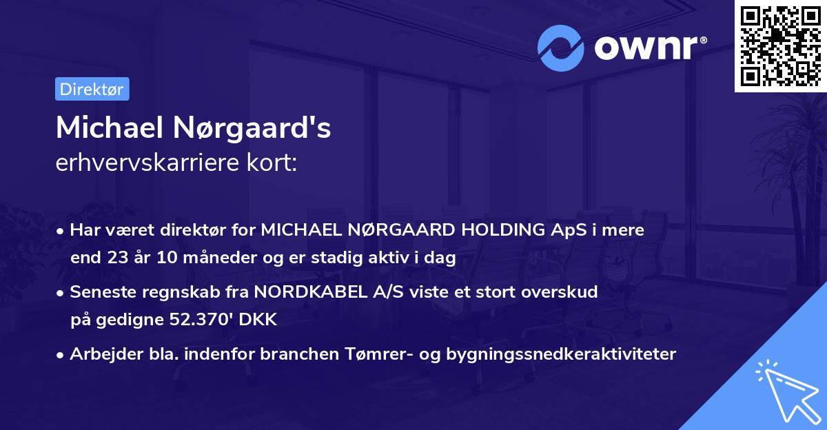 Michael Nørgaard's erhvervskarriere kort