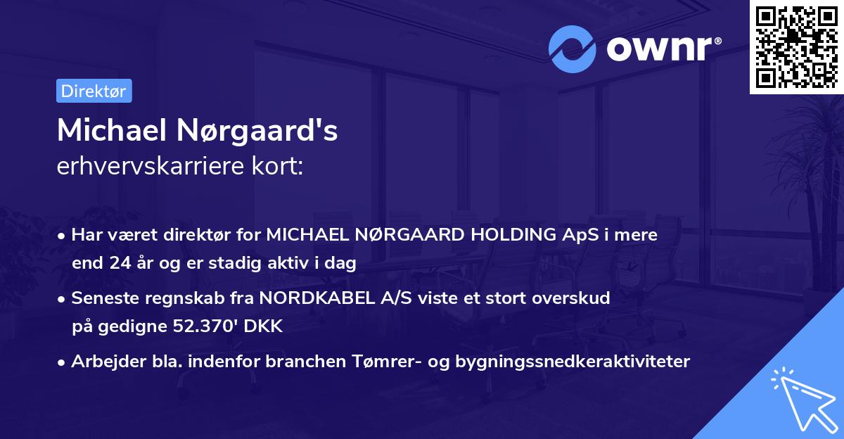 Michael Nørgaard's erhvervskarriere kort