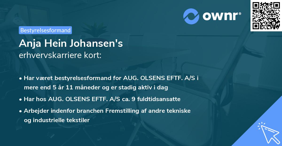 Anja Hein Johansen's erhvervskarriere kort