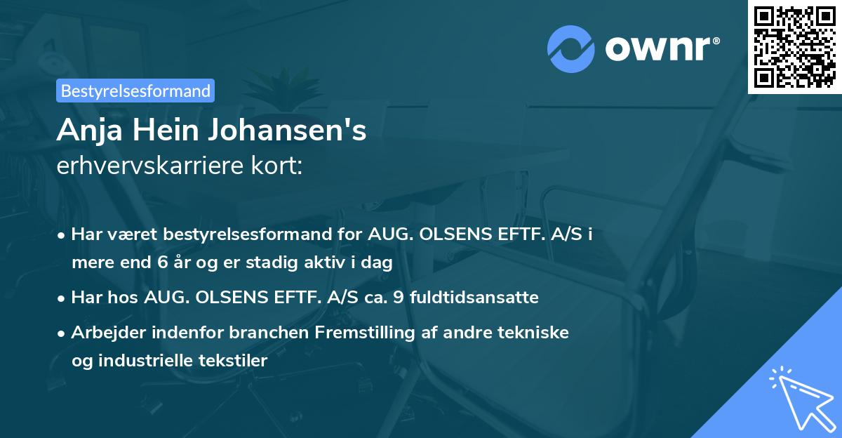Anja Hein Johansen's erhvervskarriere kort