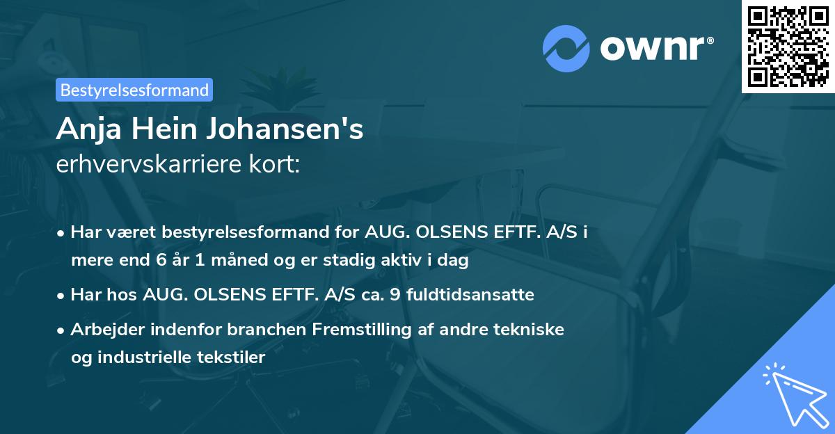 Anja Hein Johansen's erhvervskarriere kort