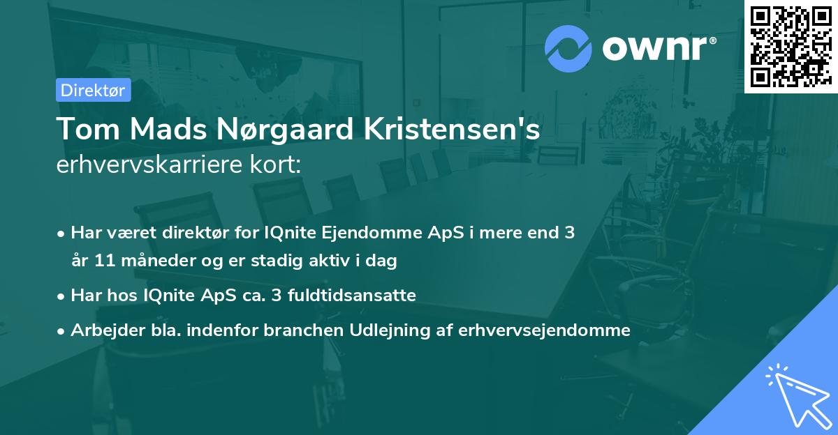 Tom Mads Nørgaard Kristensen's erhvervskarriere kort