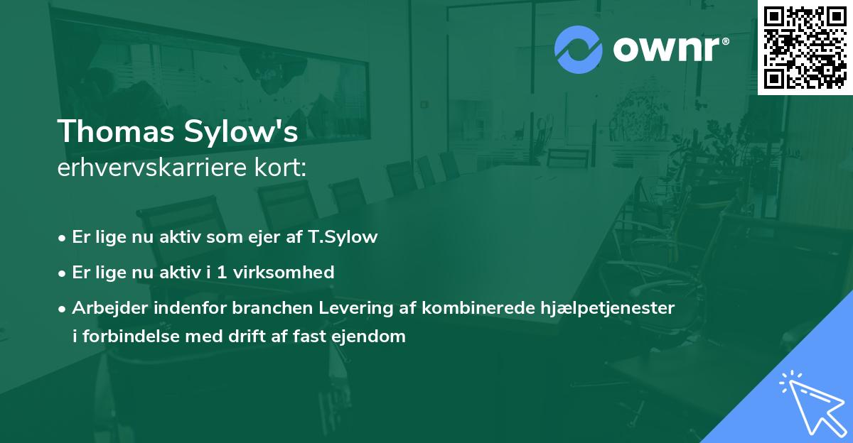 Thomas Sylow's erhvervskarriere kort