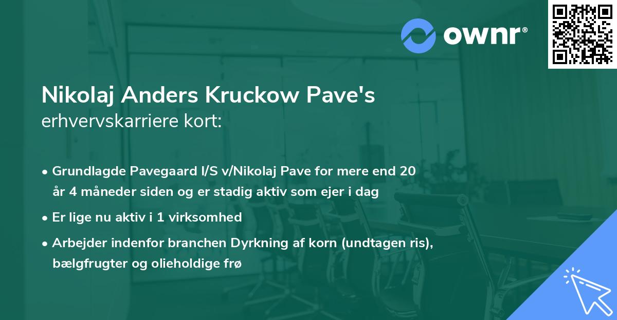 Nikolaj Anders Kruckow Pave's erhvervskarriere kort