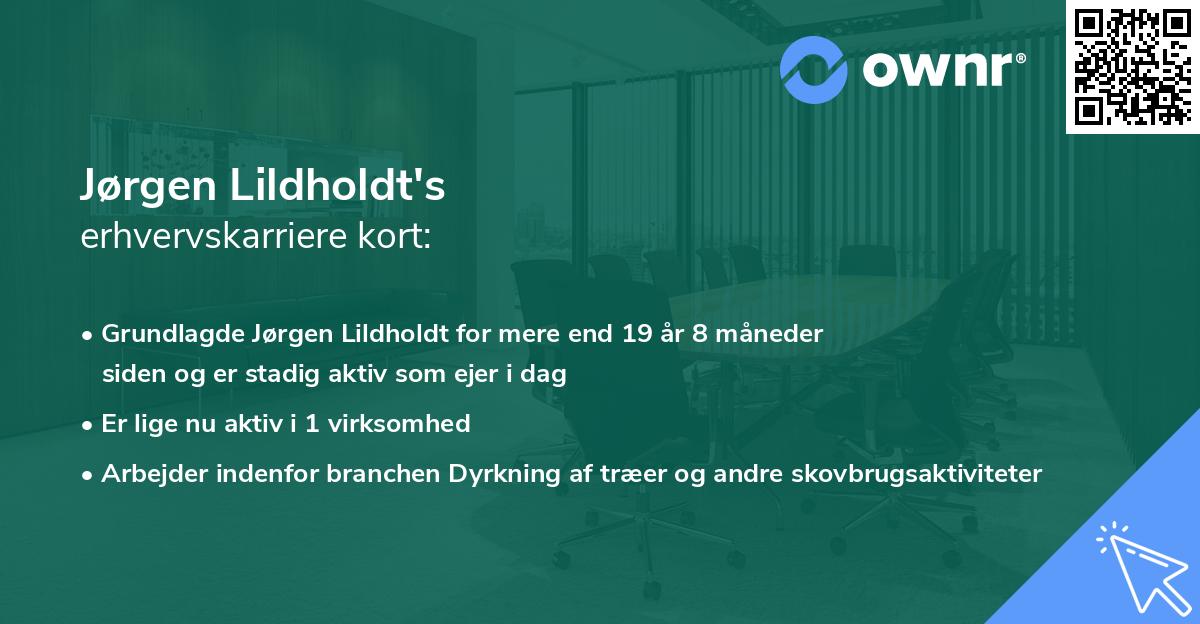 Jørgen Lildholdt's erhvervskarriere kort