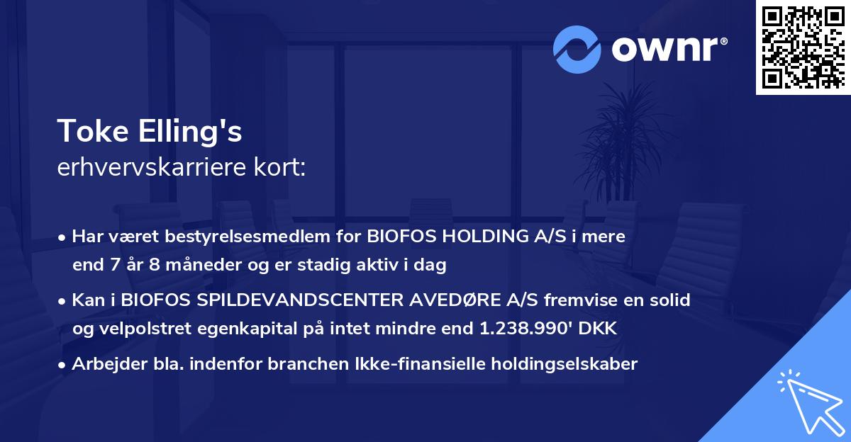 Toke Elling's erhvervskarriere kort