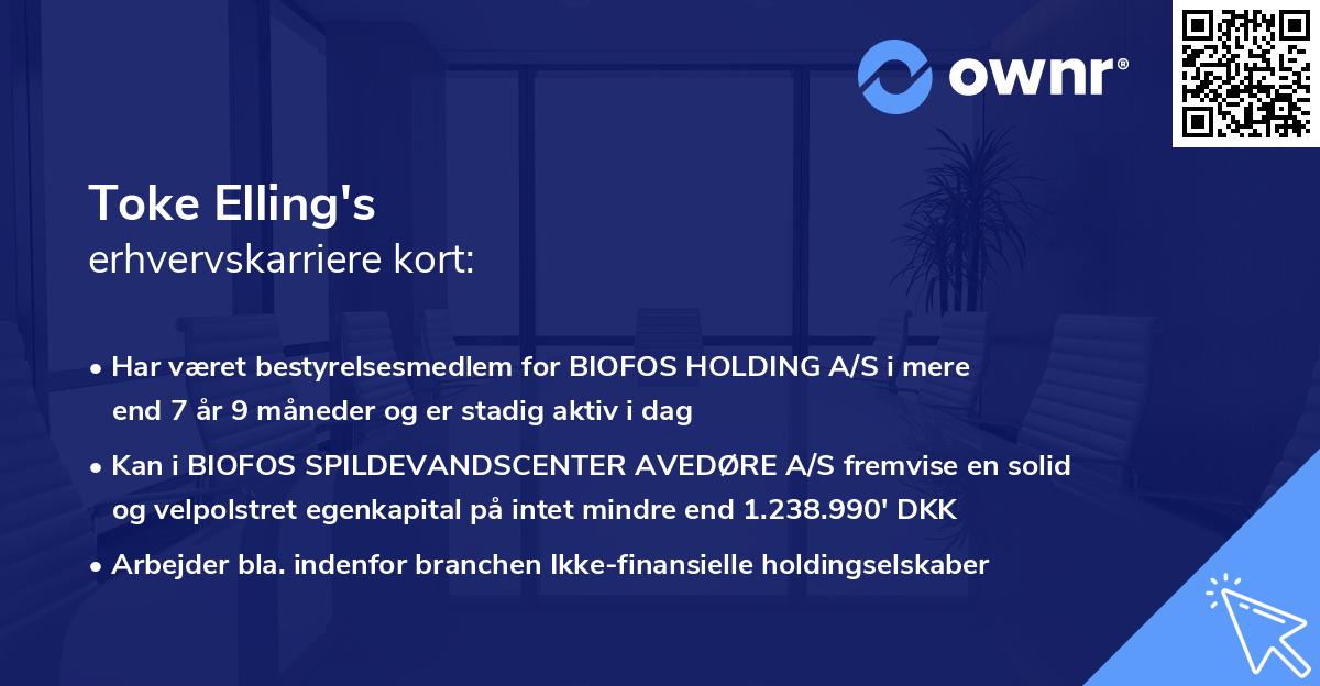 Toke Elling's erhvervskarriere kort