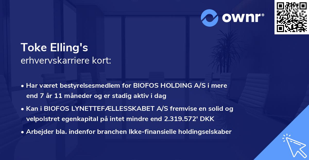 Toke Elling's erhvervskarriere kort