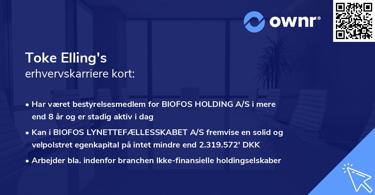 Toke Elling's erhvervskarriere kort