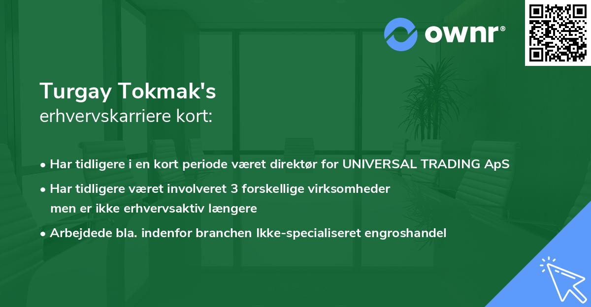 Turgay Tokmak's erhvervskarriere kort