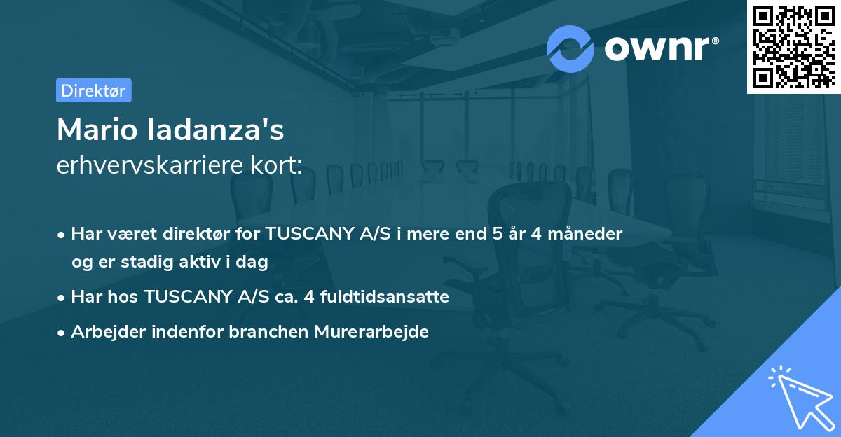 Mario Iadanza's erhvervskarriere kort