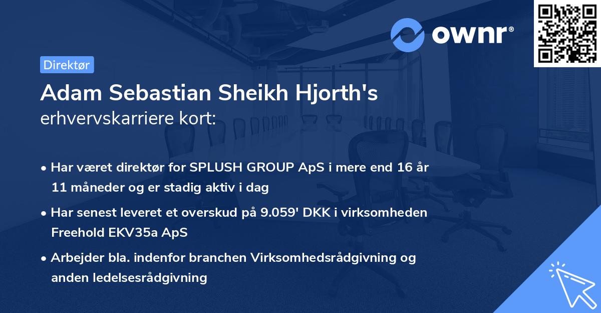 Adam Sebastian Sheikh Hjorth's erhvervskarriere kort