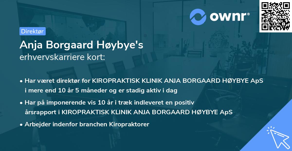Anja Borgaard Høybye's erhvervskarriere kort