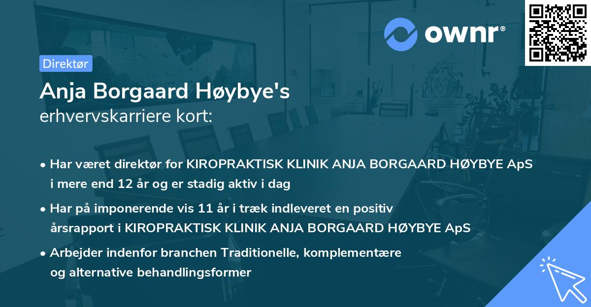 Anja Borgaard Høybye's erhvervskarriere kort